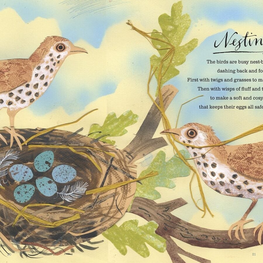 A First Book of Nature by Nicola Davies
