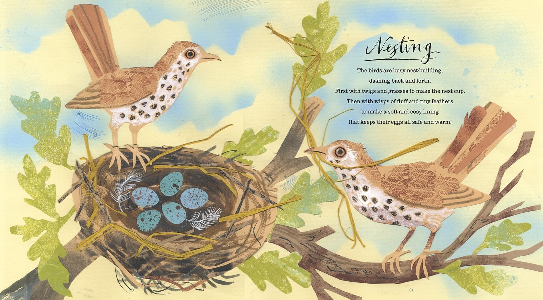 A First Book of Nature by Nicola Davies - Image 2