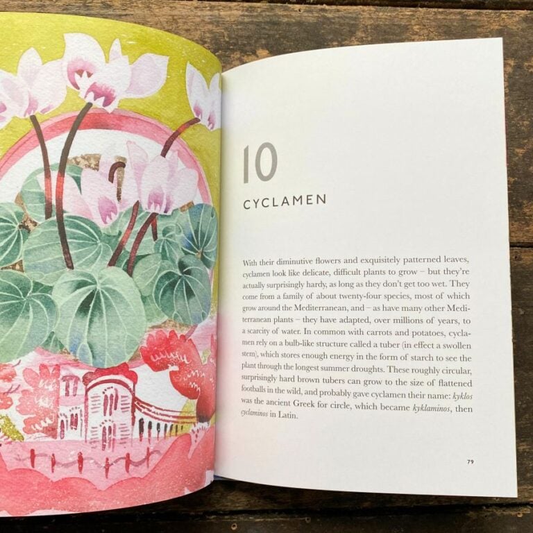 The Book of Garden Flowers by Christopher Stocks & Angie Lewin - Image 2