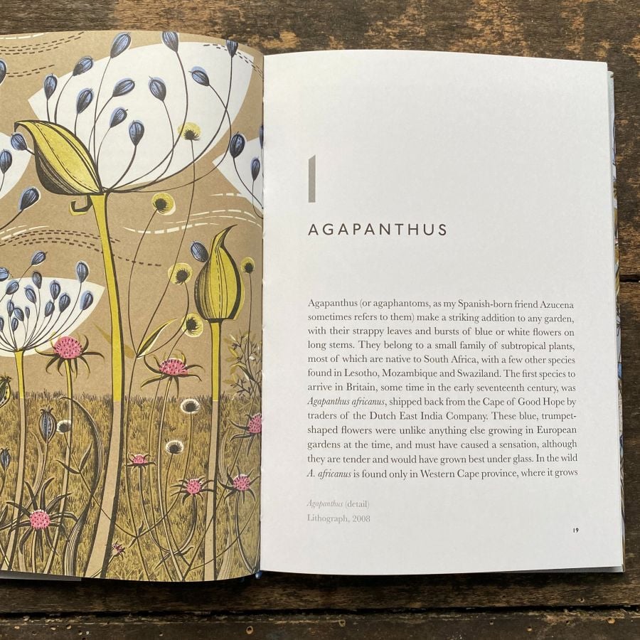 The Book of Garden Flowers by Christopher Stocks & Angie Lewin
