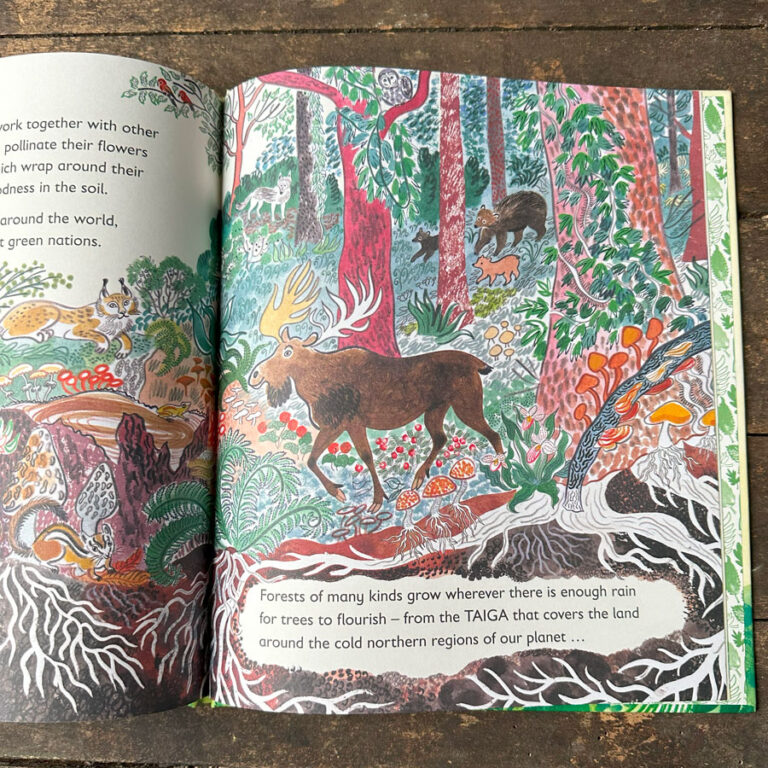 Green, The Story of Plant Life on Our Planet by Nicola Davies - Image 3