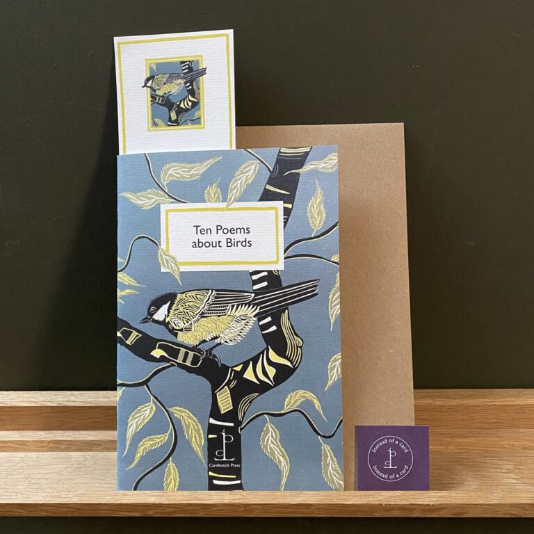 Poetry Pamphlet about Birds from Tinsmiths Ledbury