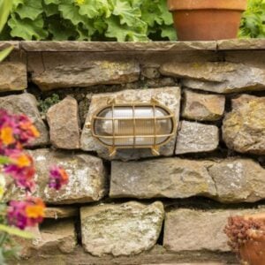 Standard Brass Bulkhead - Small - Image 1
