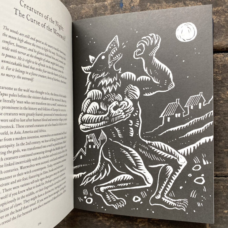 The Treasury of Folklore: Waterlands, Wooded Worlds and Star Skies by Dee Dee Chainey & Willow Winsham - Image 4