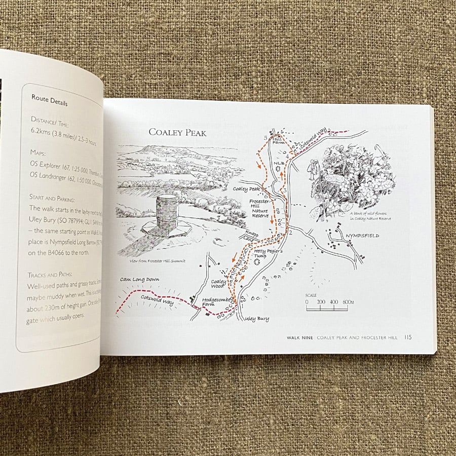 Walking Gloucestershire with Ivor Gurney by Eleanor Rawling