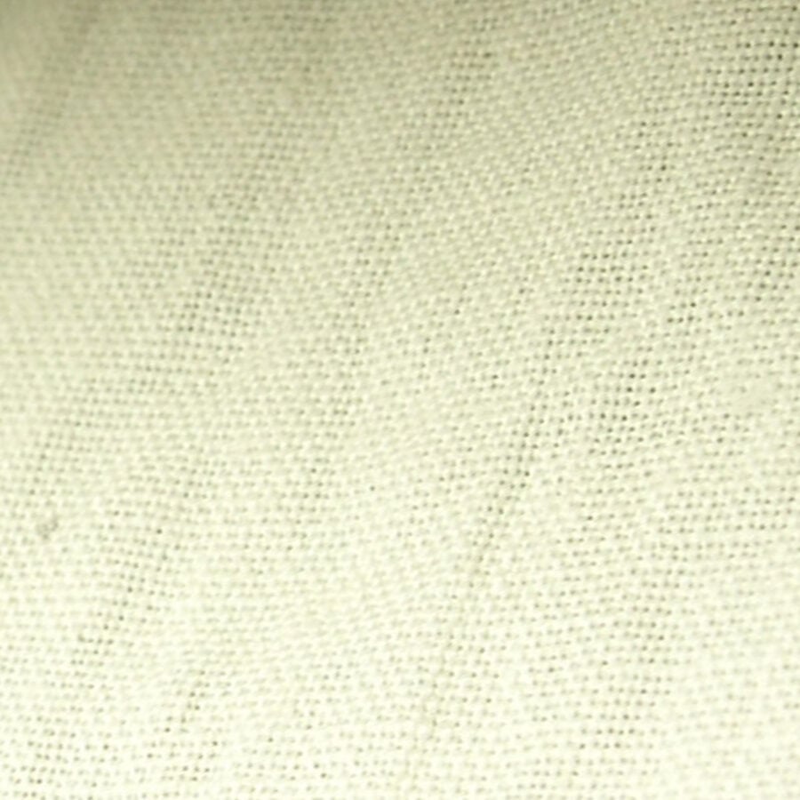 REMNANT- REM2907
