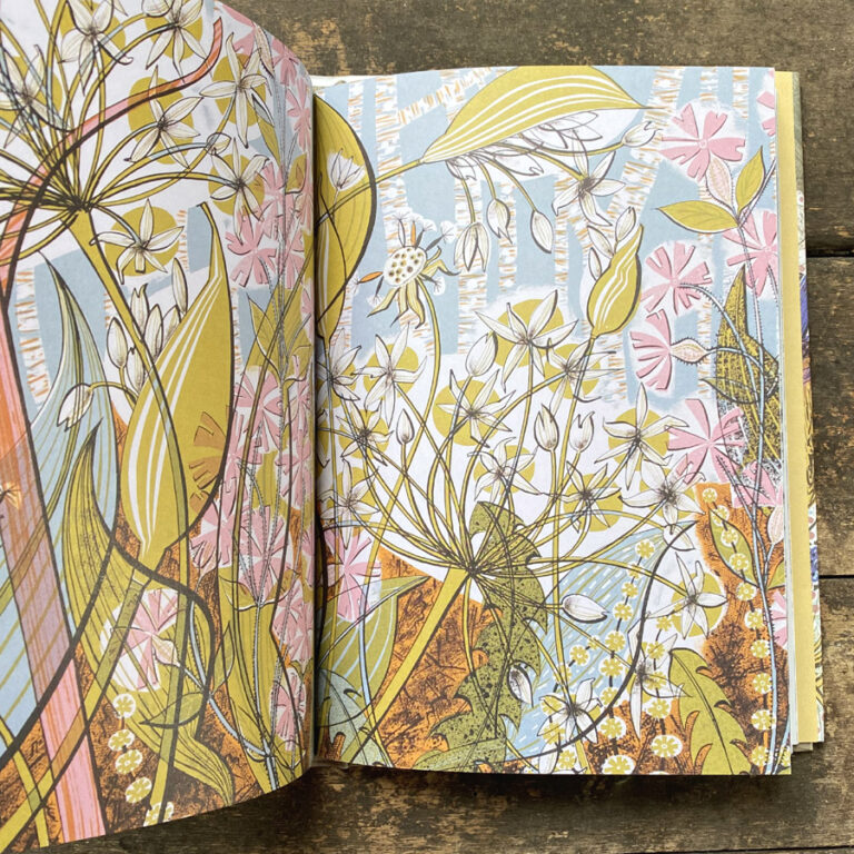 The Book of Wildflowers by Christopher Stocks and Angie Lewin - Image 4