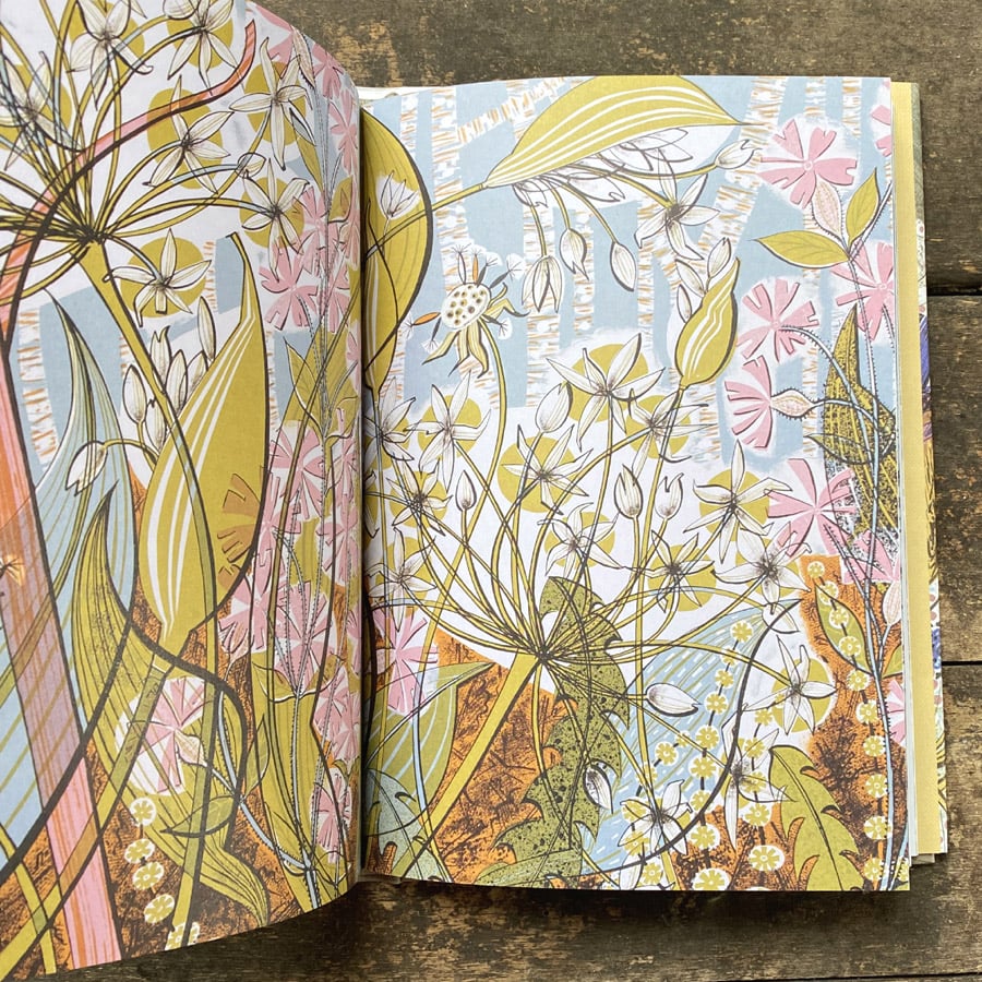 The Book of Wildflowers by Christopher Stocks and Angie Lewin
