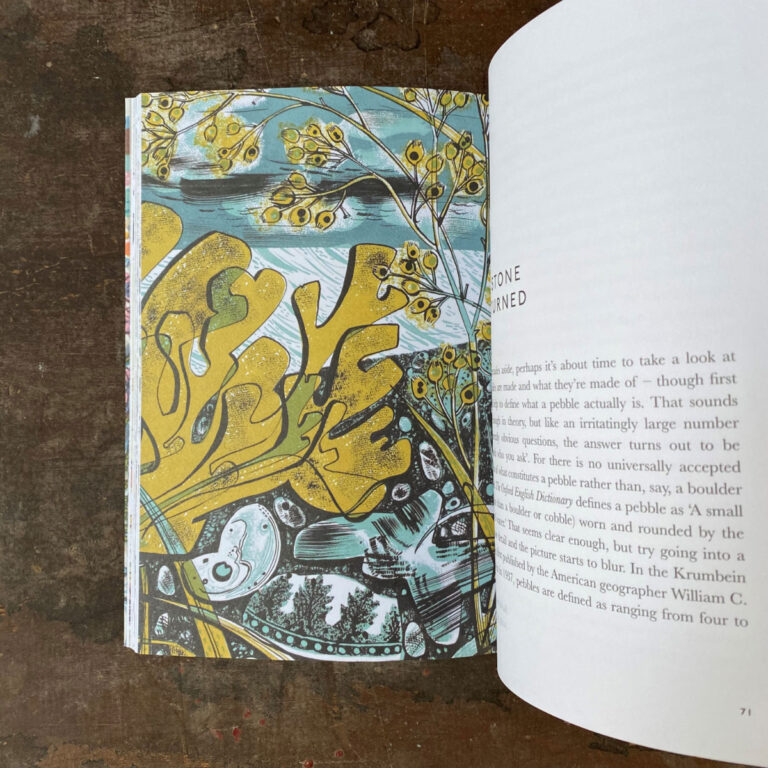 The Book of Pebbles by Christopher Stocks and Angie Lewin - Image 2