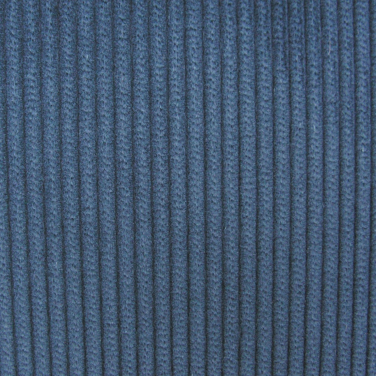 Corduroy - Royal - Image 2