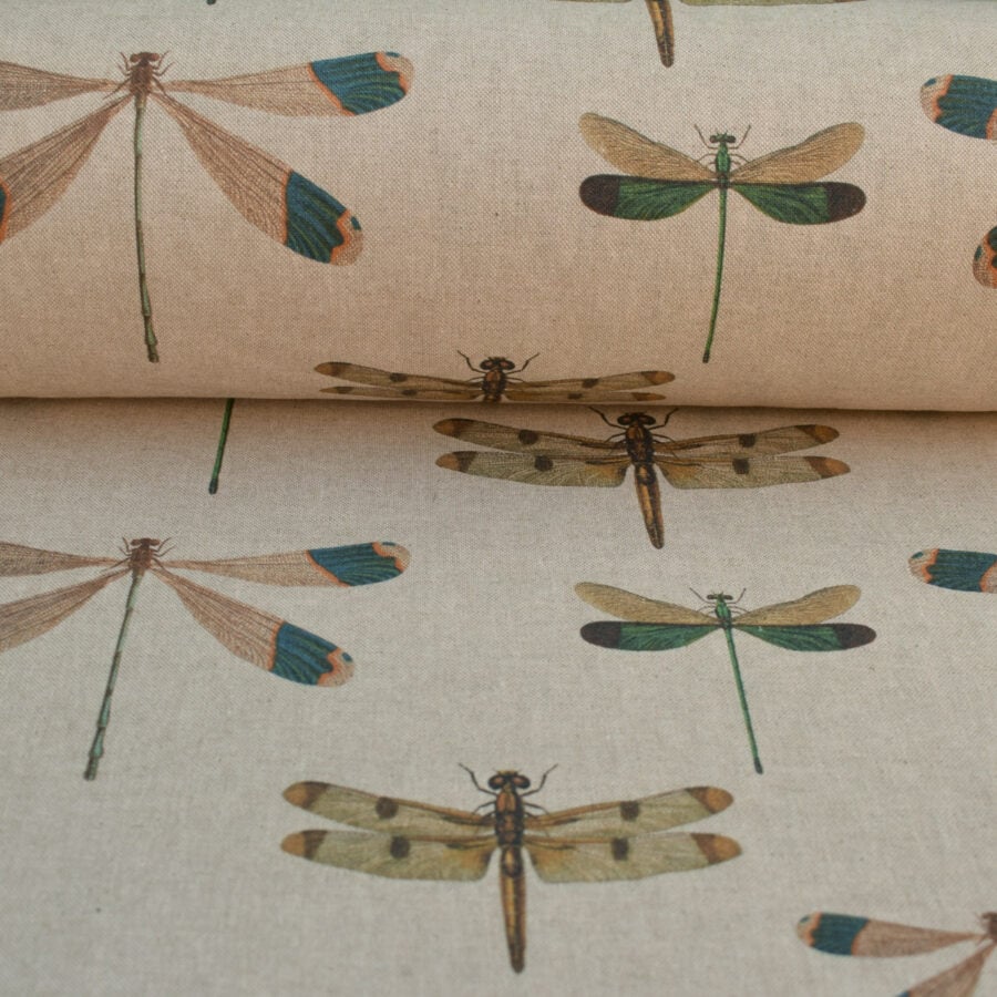 Dragonflies
