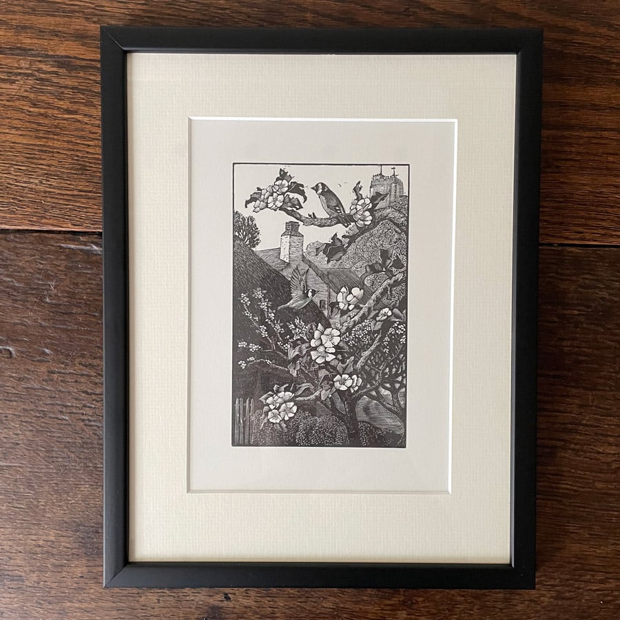 Finches by Charles Tunnicliffe