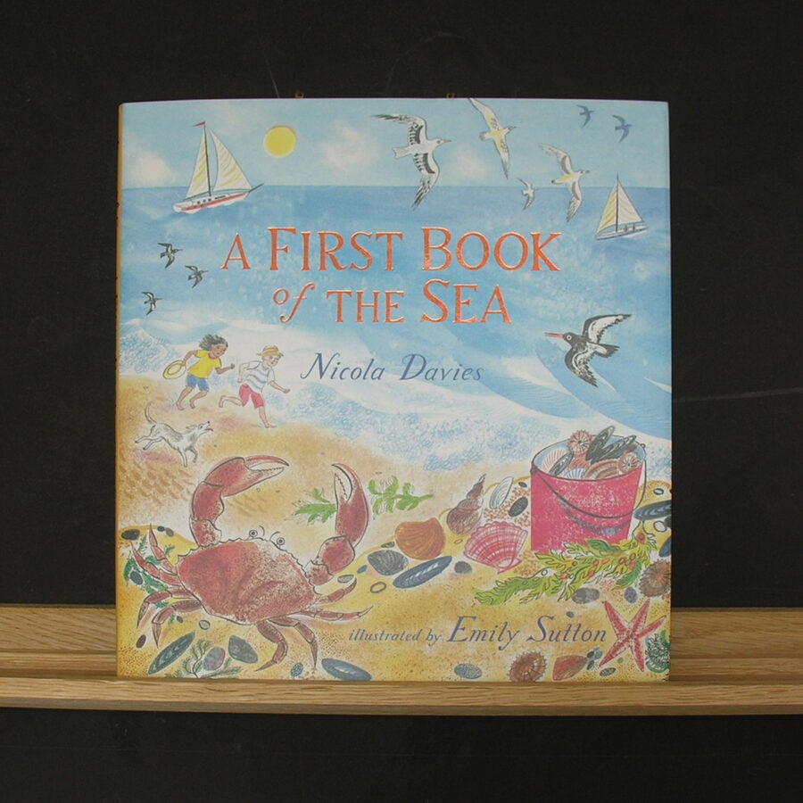 A First Book of the Sea by Nicola Davies