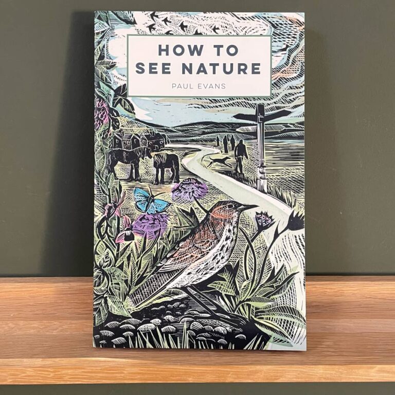 How To See Nature by Paul Evans
