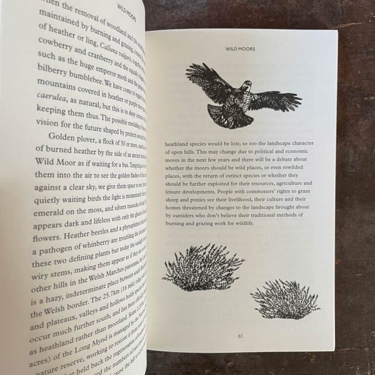 How To See Nature by Paul Evans - Image 3