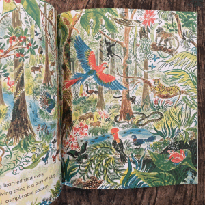 Lots: The Diversity of Life on Earth by Nicola Davies - Image 2