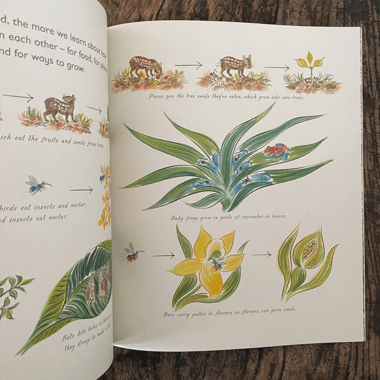 Lots: The Diversity of Life on Earth by Nicola Davies - Image 3