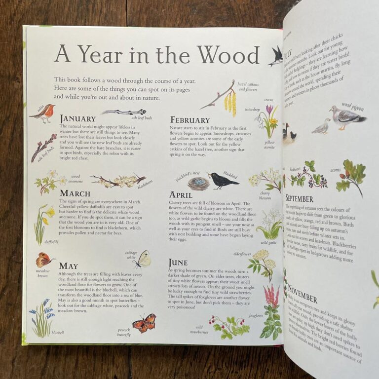 Mouse's Wood by Alice Melvin - Image 5