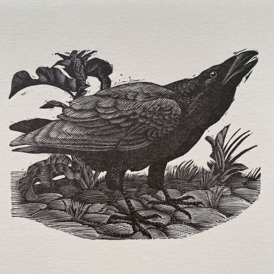 Tunnicliffe Notelet Set