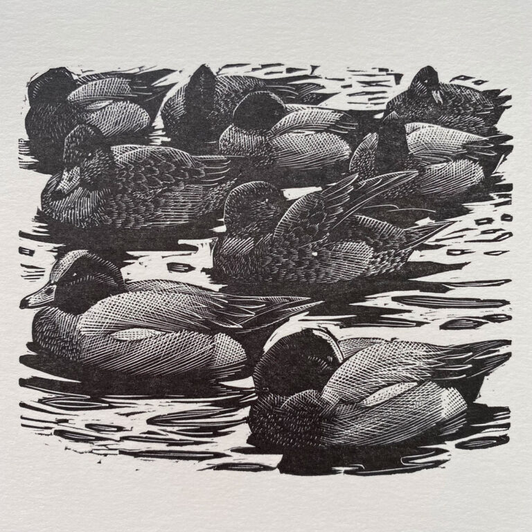 Tunnicliffe Notelet Set - Image 4