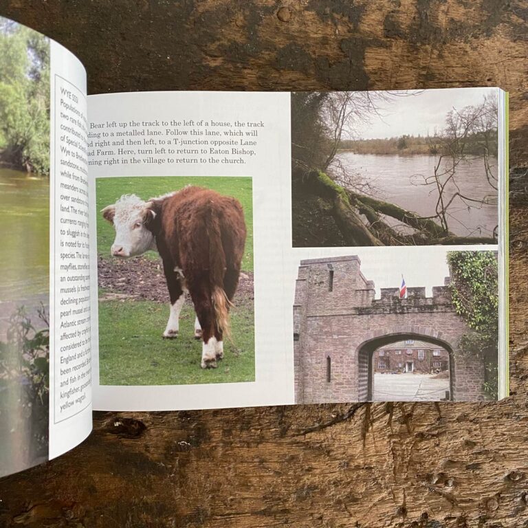 Walking the Old Ways of Herefordshire by Andy & Karen Johnson - Image 4
