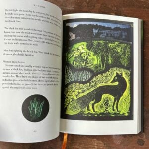 Wild Folk, Tales from the Stones by Jackie Morris & Tamsin Abbott - Image 2