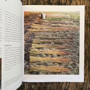 Willow by Jenny Crisp - Image 2
