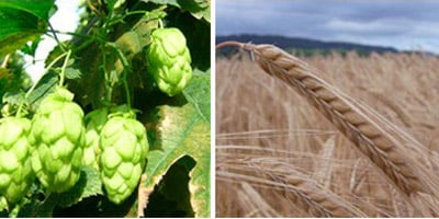 Beer – March 2013, Calendar Blog