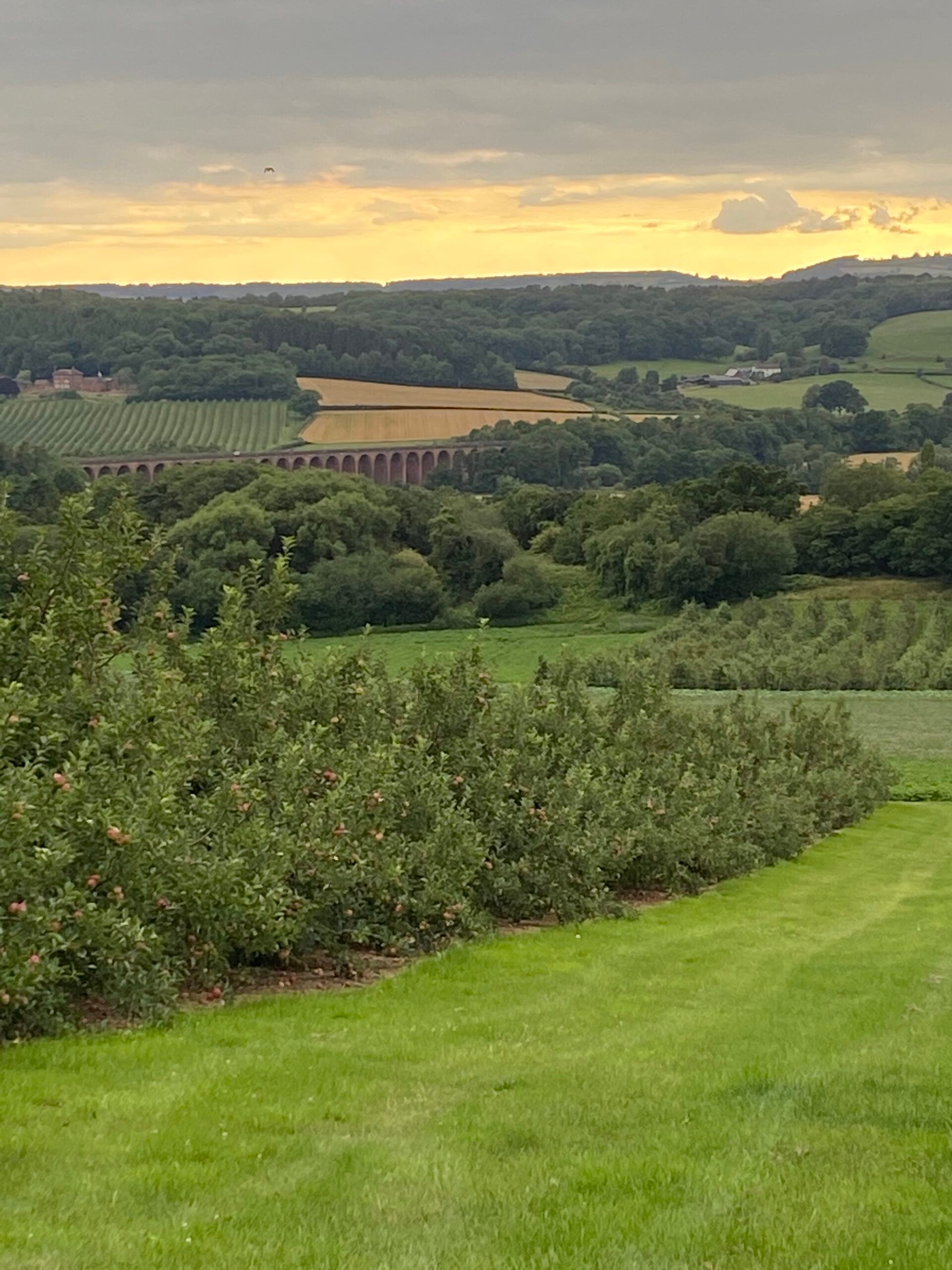 Ledbury Viaduct from Frith Wood