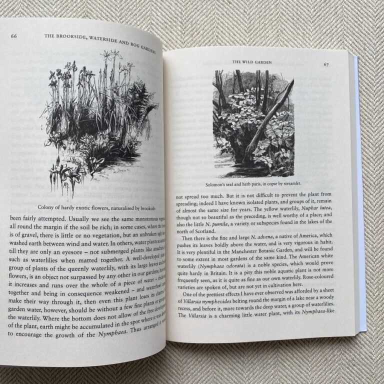 The Wild Garden by William Robinson - Image 4
