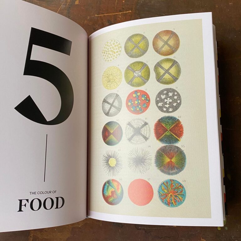 History of Colour book with open page showing geometric patterns of colour
