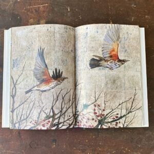 Book of Birds by Jackie Morris & Robert MacFarlane