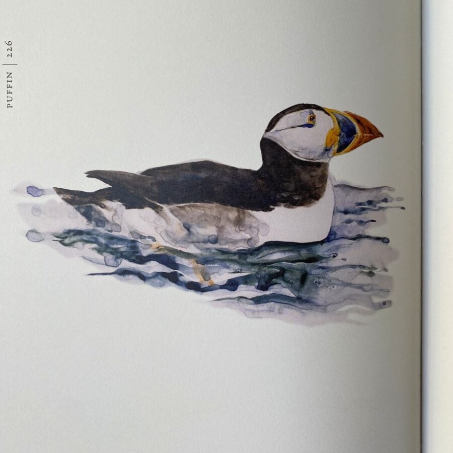 The Book of Birds by Jackie Morris & Robert MacFarlane