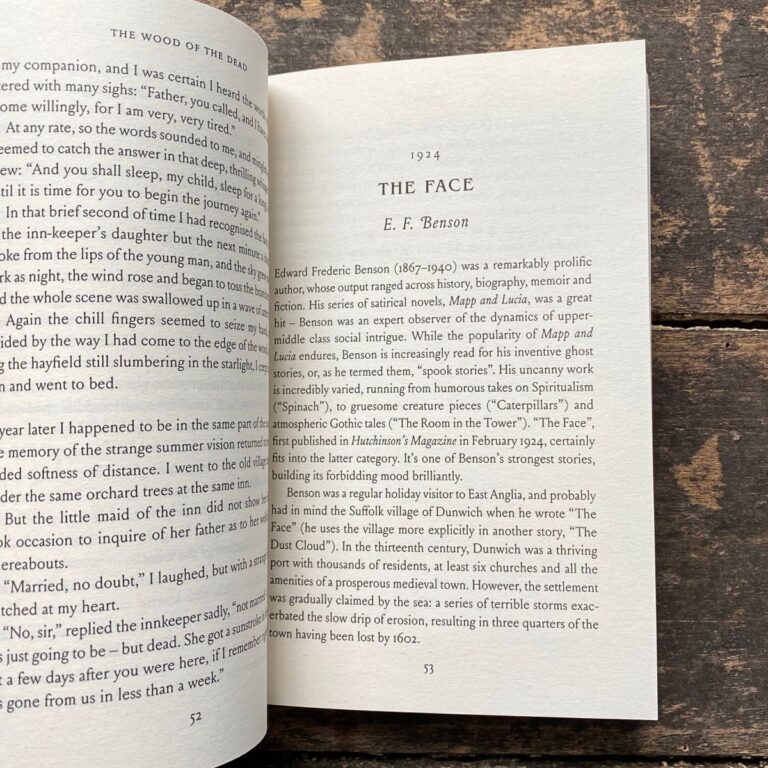 The Wayfarer's Weird edited by Weird Walk - Image 3