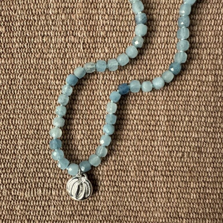 Silver Seed Pendant with Aquamarine Necklace M22