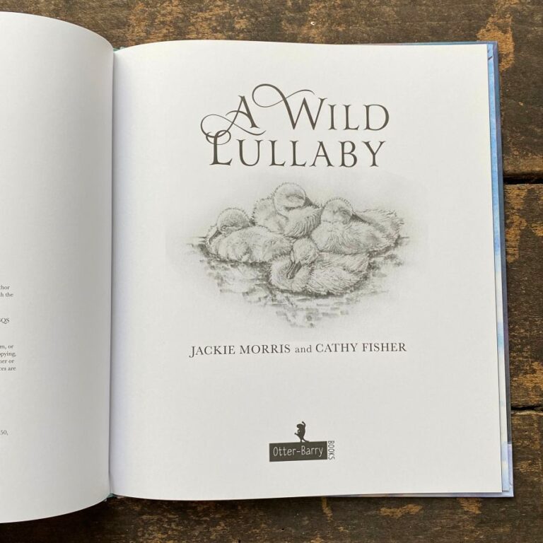 A Wild Lullaby by Jackie Morris and Cathy Fisher - Image 3