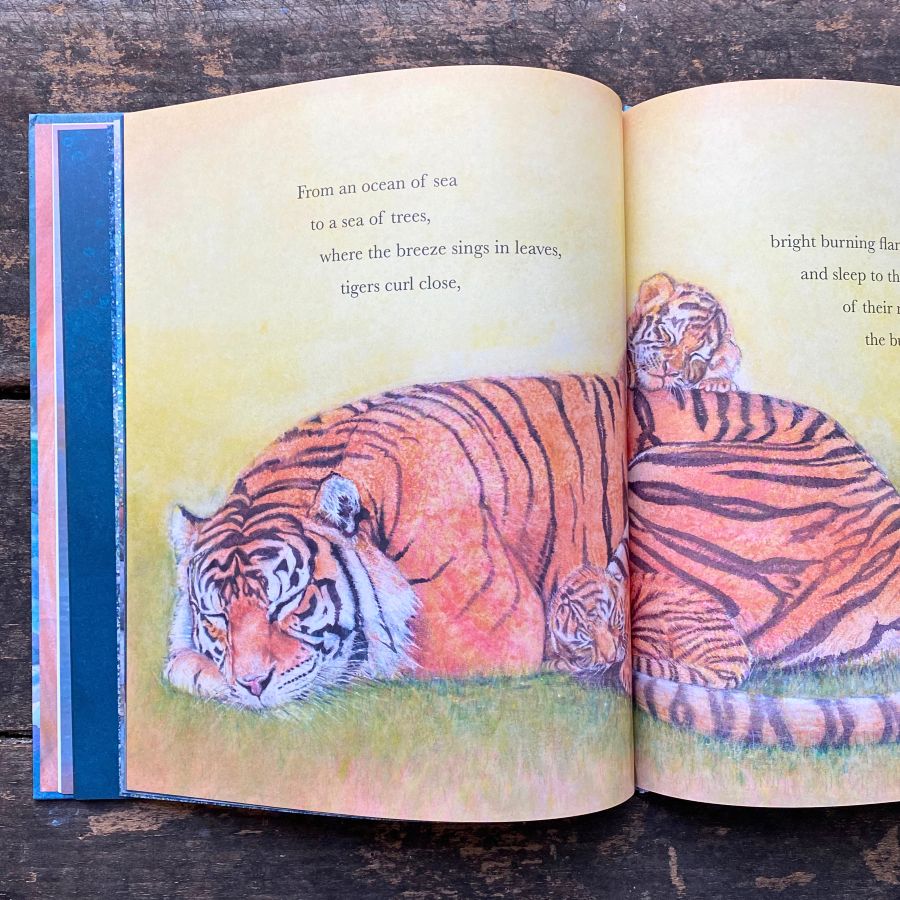 A Wild Lullaby by Jackie Morris and Cathy Fisher