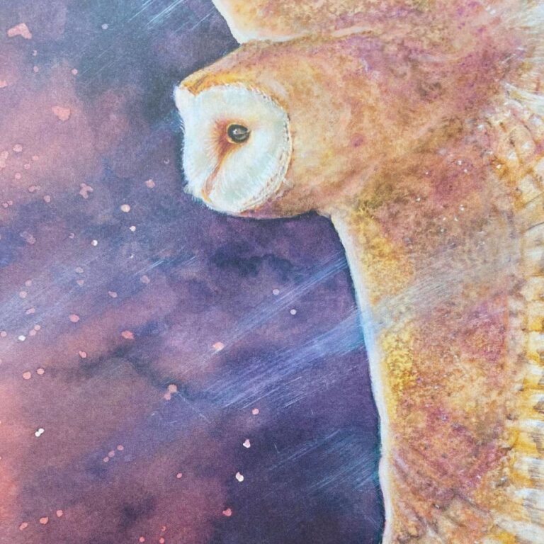 A Wild Lullaby by Jackie Morris and Cathy Fisher - Image 2